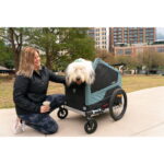 Burley-Bark-Ranger-XL-Hundeanhaenger-schwarztuerkis-matt-.jpg