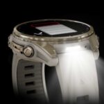 Garmin-fenix-8-AMOLED-Sapphire-GPS-Smartwatch-43mm-NebelgrauSoftgold.jpg