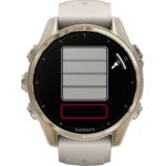 Garmin-fenix-8-AMOLED-Sapphire-GPS-Smartwatch-43mm-NebelgrauSoftgold.jpg