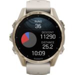 Garmin-fenix-8-AMOLED-Sapphire-GPS-Smartwatch-43mm-NebelgrauSoftgold.jpg