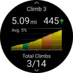 Garmin-Forerunner-965-GPS-Laufuhr-schwarzcarbongrau.jpg